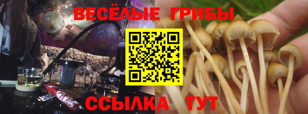 Псилоцибиновые грибы Psilocybine cubensis  Вход с VPN  Белогорск  Псилоцибиновые грибы GOLDEN TEACHER 