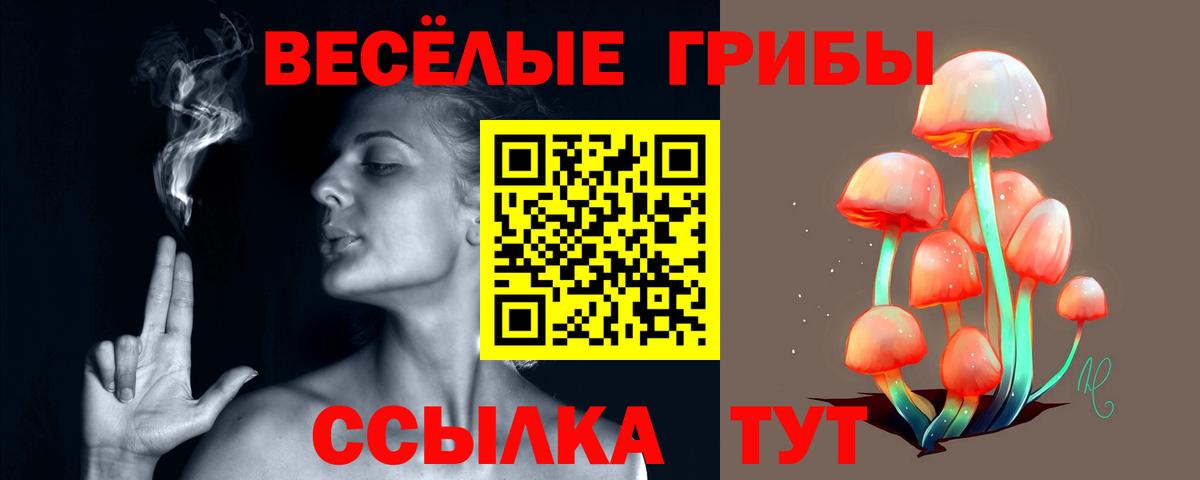 Псилоцибиновые грибы Psilocybe Белогорск